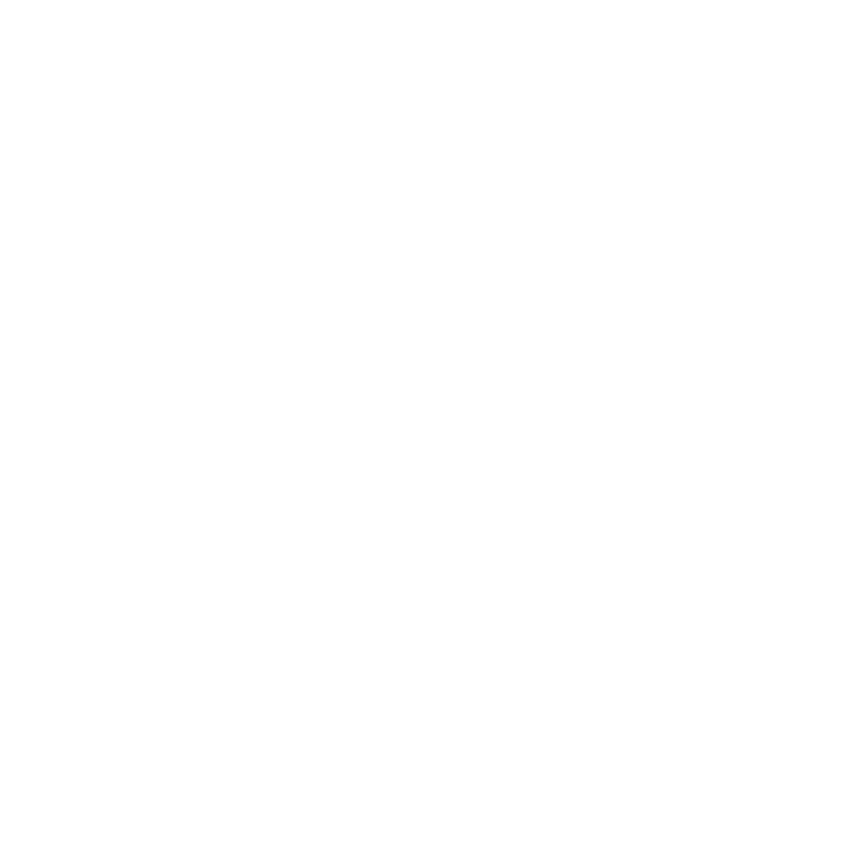 Coach Veljo logo